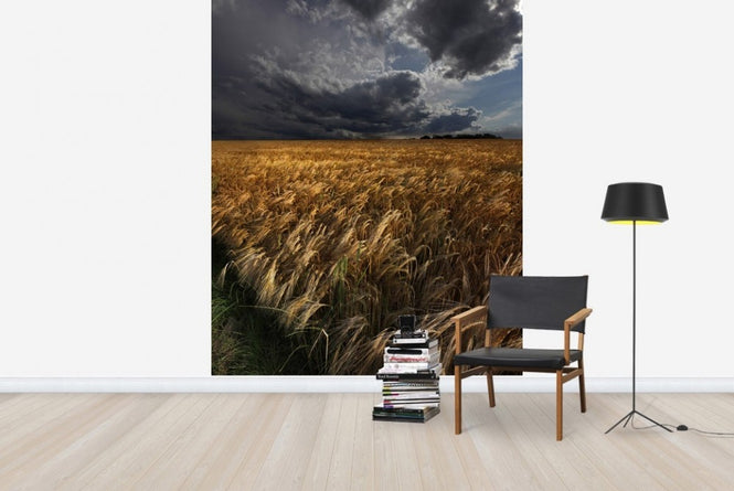 PHOTOWALL / Worried Sky (e22418)