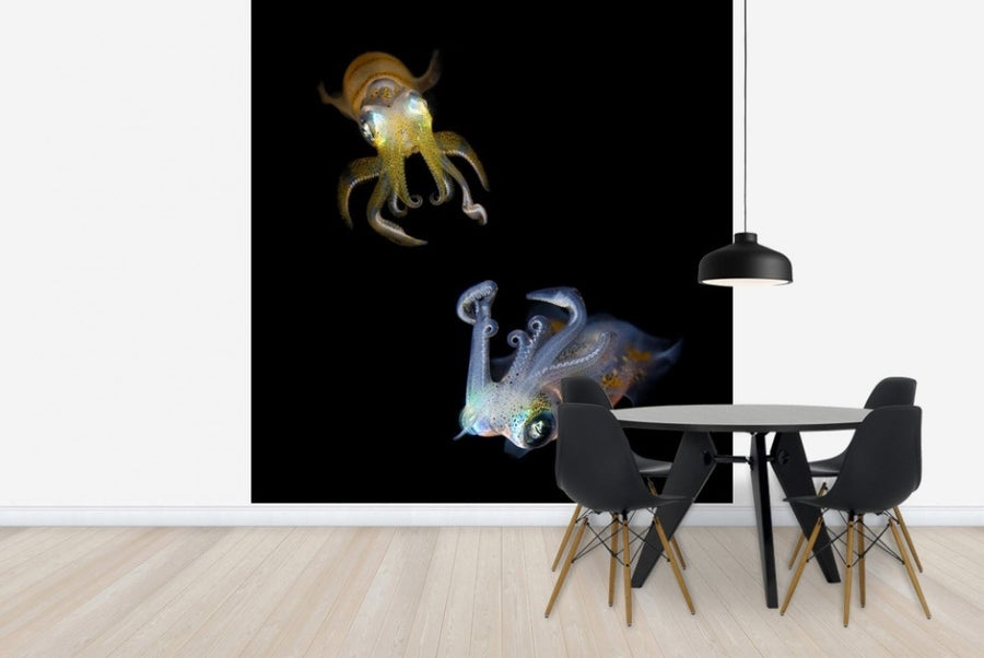 PHOTOWALL / Glowing Squids (e22422)