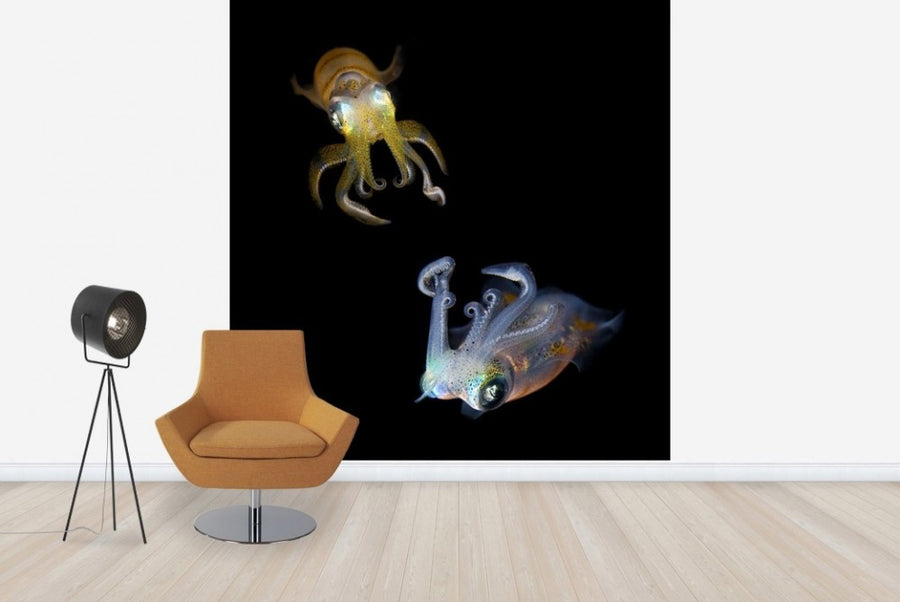 PHOTOWALL / Glowing Squids (e22422)