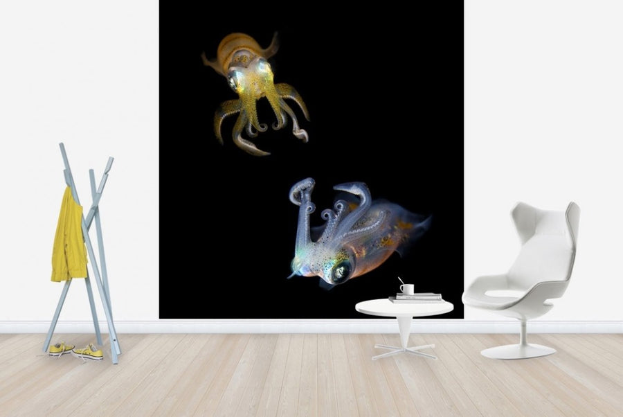 PHOTOWALL / Glowing Squids (e22422)