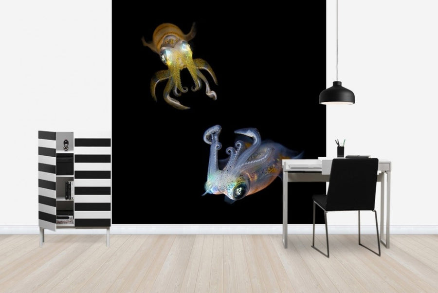 PHOTOWALL / Glowing Squids (e22422)