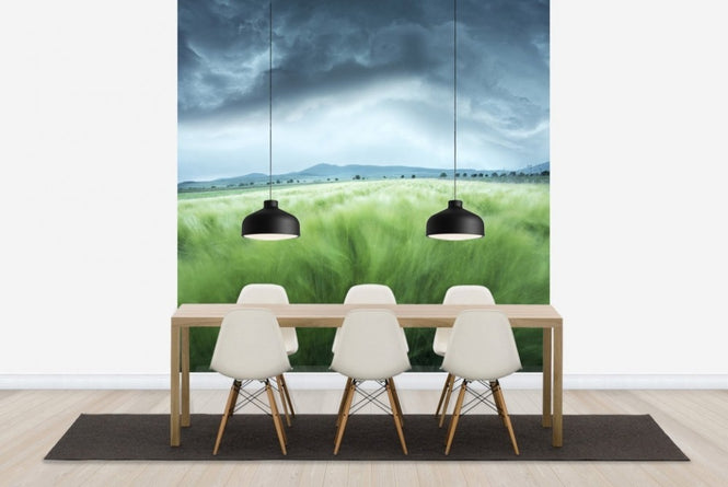 PHOTOWALL / Green Barley Field (e22427)