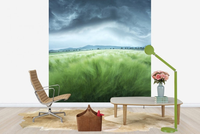 PHOTOWALL / Green Barley Field (e22427)