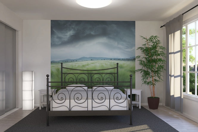 PHOTOWALL / Green Barley Field (e22427)