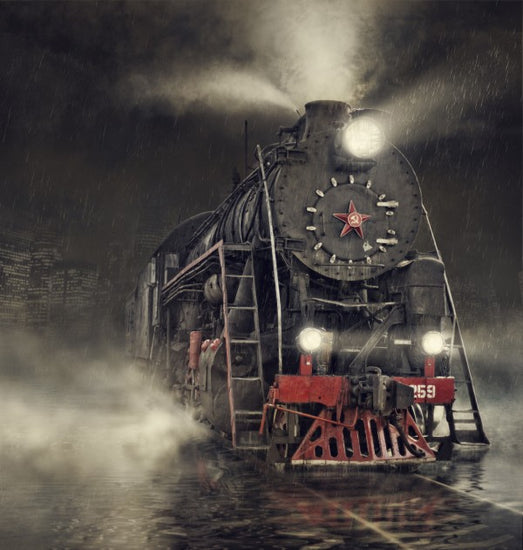 PHOTOWALL / Train in the Rain (e22433)