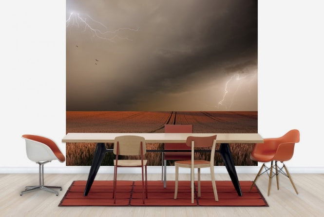 PHOTOWALL / Lightning Field (e22436)