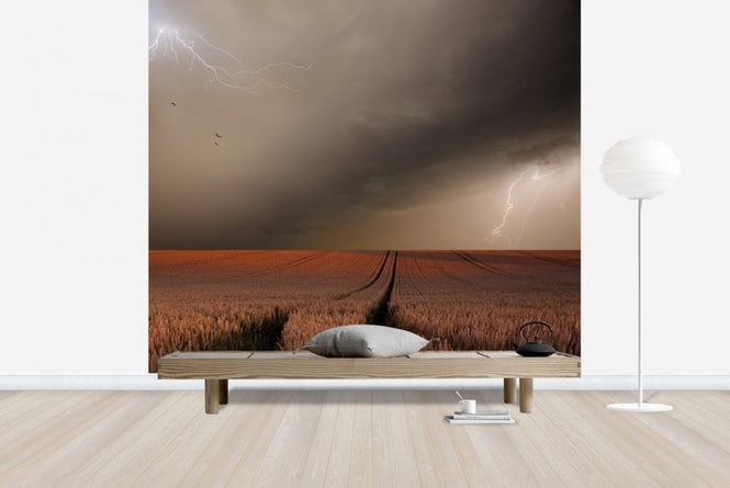 PHOTOWALL / Lightning Field (e22436)
