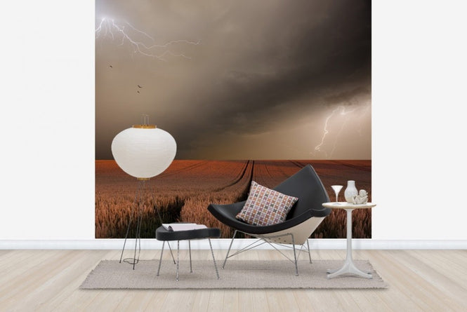 PHOTOWALL / Lightning Field (e22436)