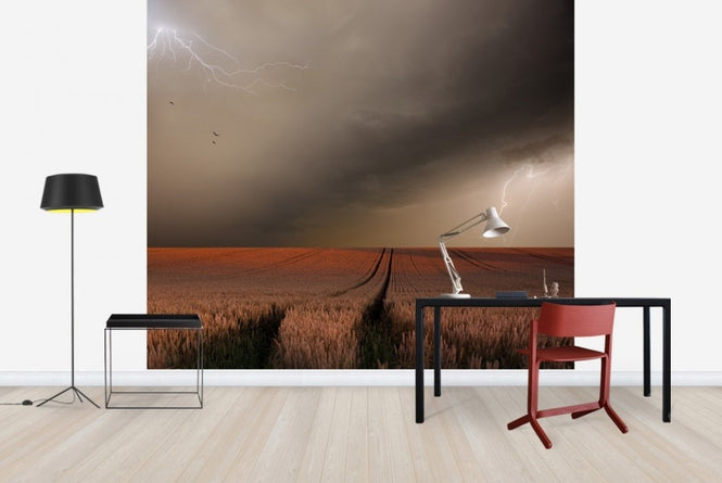 PHOTOWALL / Lightning Field (e22436)