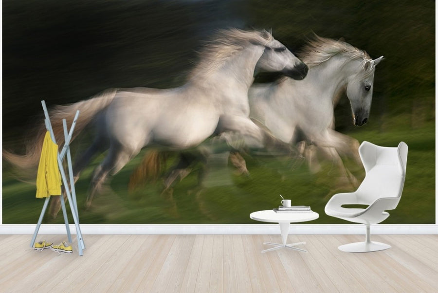 PHOTOWALL / White Horses Gallop (e22447)