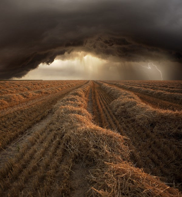 PHOTOWALL / Stormy Fields (e22450)