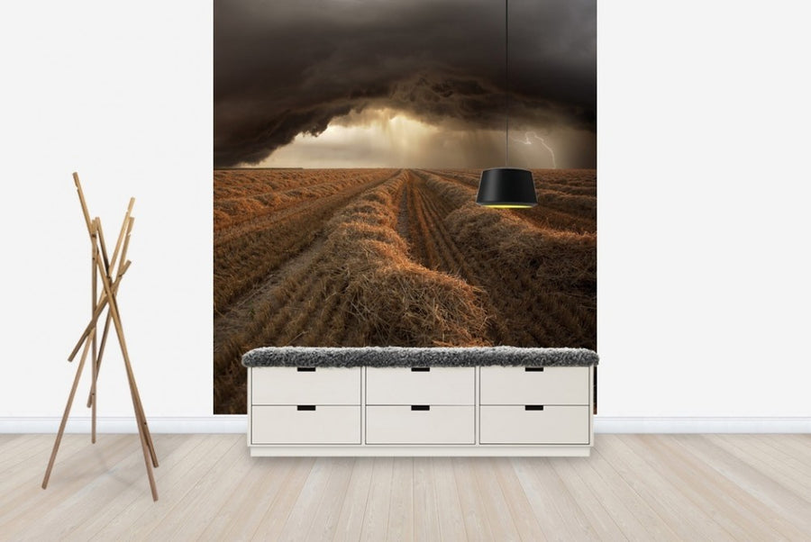 PHOTOWALL / Stormy Fields (e22450)