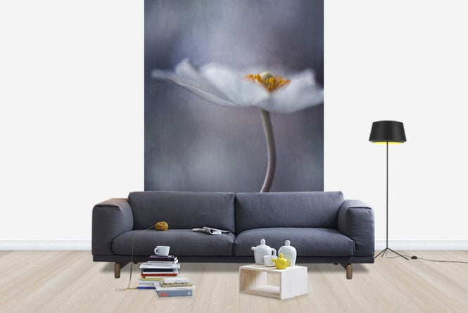 PHOTOWALL / White Anemone (e22458)