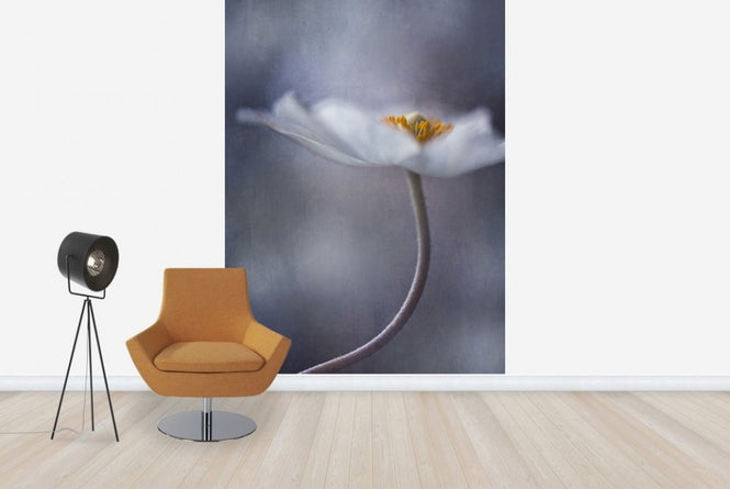 PHOTOWALL / White Anemone (e22458)