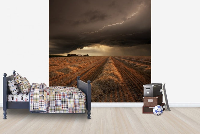 PHOTOWALL / Dramatic Thunderstorm (e22463)