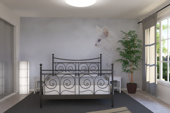 PHOTOWALL / White as Snow (e22466)