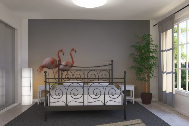 PHOTOWALL / Two Flamingos (e22471)