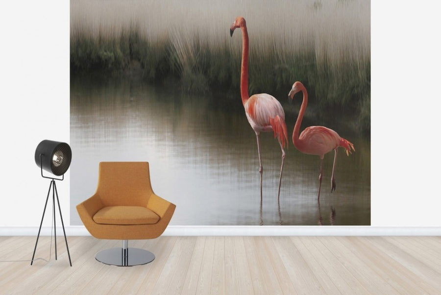 PHOTOWALL / Two Pink Flamingos (e22474)