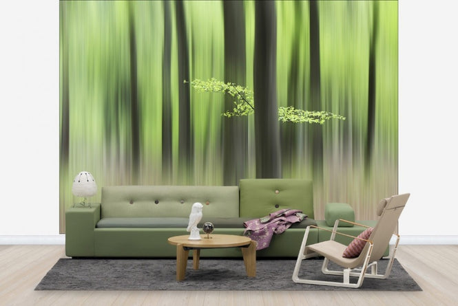 PHOTOWALL / Spring Morning (e22482)