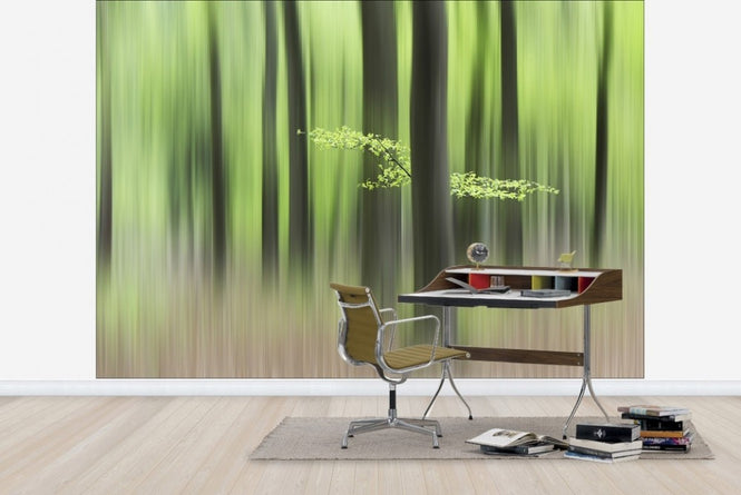 PHOTOWALL / Spring Morning (e22482)