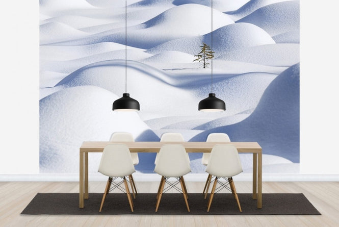 PHOTOWALL / Snow Waves (e22488)