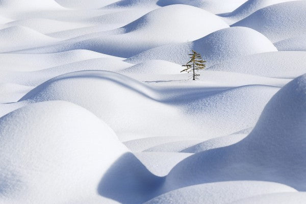 PHOTOWALL / Snow Waves (e22488)