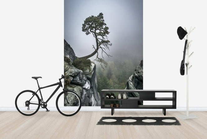 PHOTOWALL / Tree on Mountain (e22491)