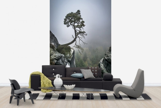 PHOTOWALL / Tree on Mountain (e22491)