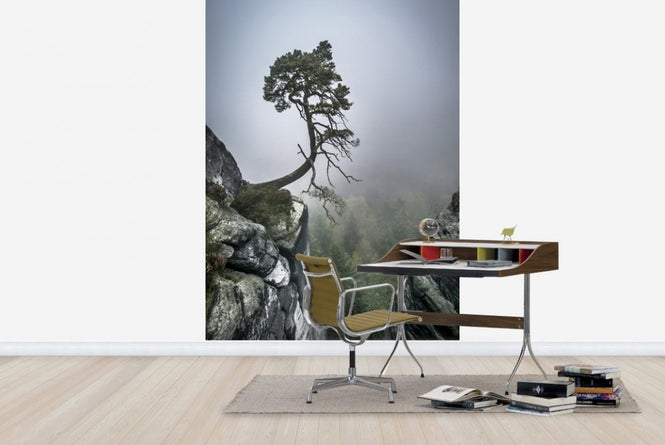 PHOTOWALL / Tree on Mountain (e22491)