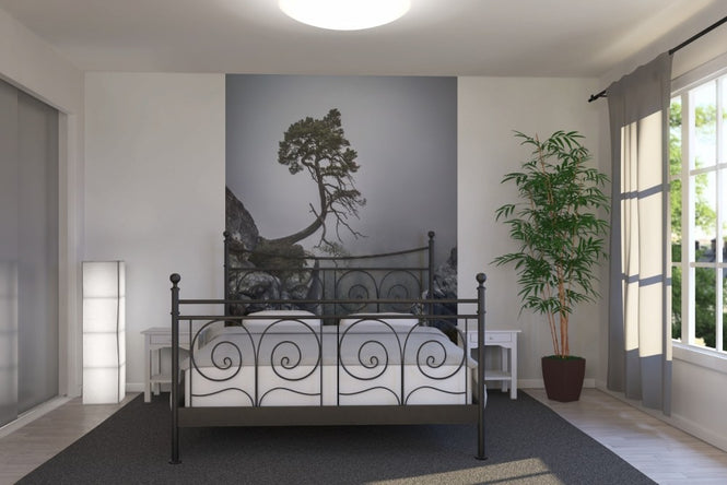 PHOTOWALL / Tree on Mountain (e22491)