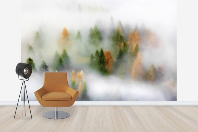 PHOTOWALL / Misty Autumn (e22492)
