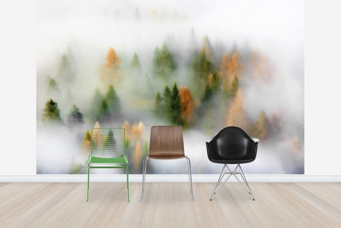PHOTOWALL / Misty Autumn (e22492)