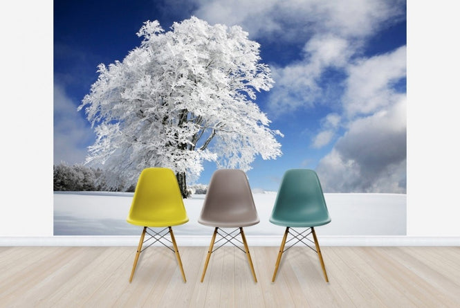 PHOTOWALL / Winter Tree (e22493)