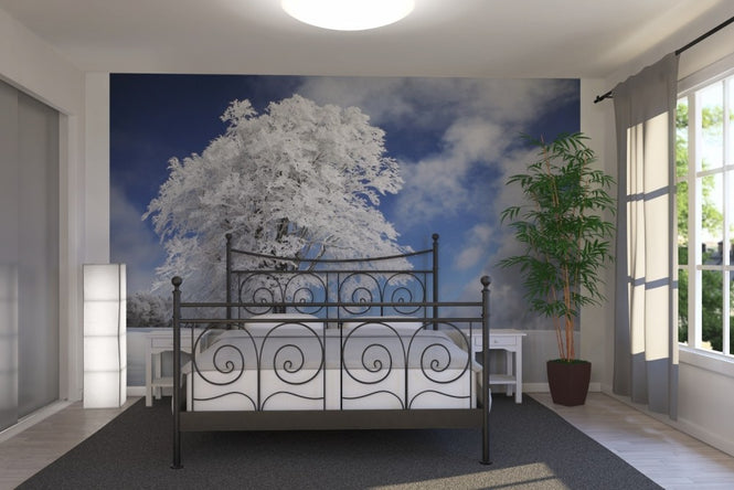 PHOTOWALL / Winter Tree (e22493)
