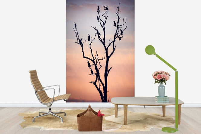 PHOTOWALL / Birds Before Sunset (e22505)