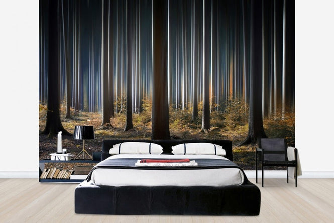 PHOTOWALL / Mystic Woods (e22509)