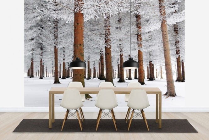 PHOTOWALL / White Forest (e22514)