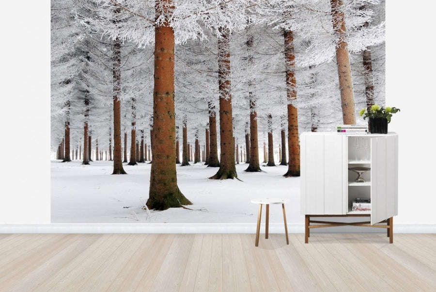 PHOTOWALL / White Forest (e22514)