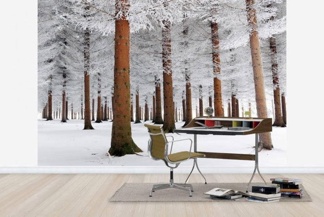 PHOTOWALL / White Forest (e22514)