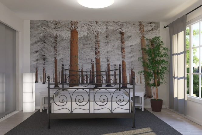 PHOTOWALL / White Forest (e22514)