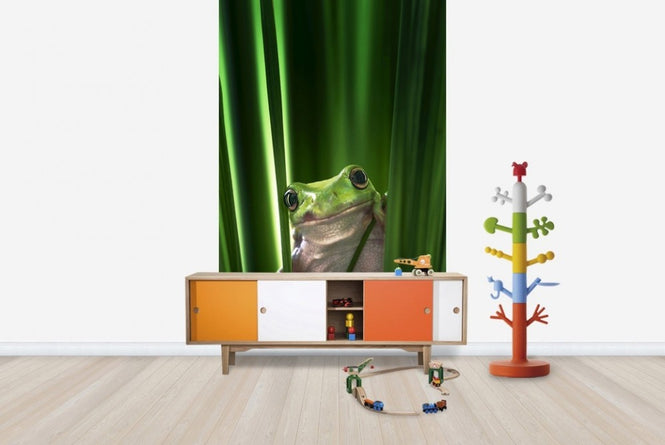 PHOTOWALL / Green Frog (e22516)