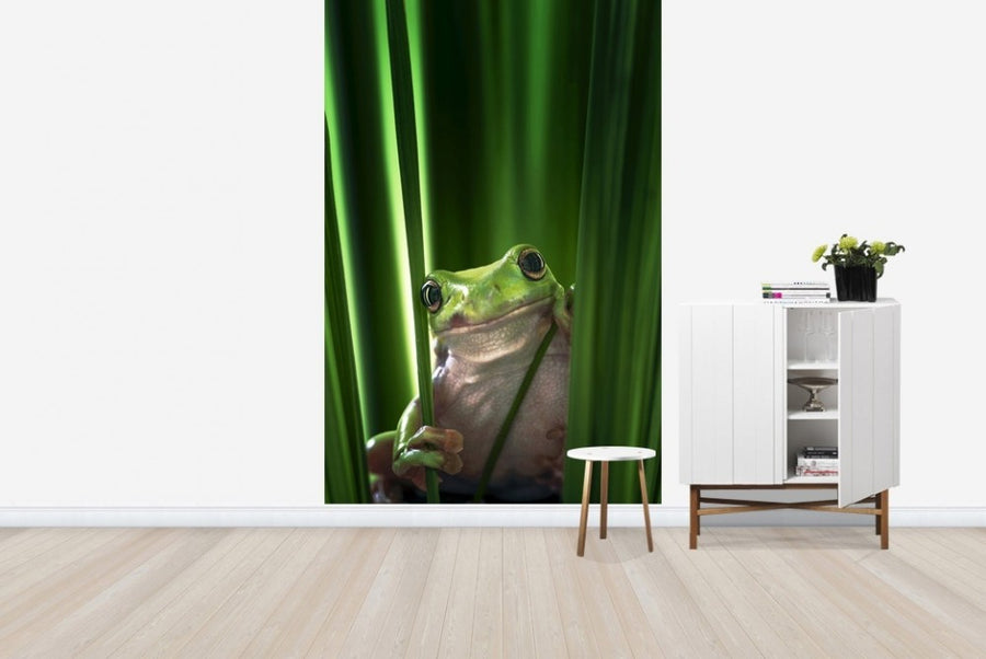 PHOTOWALL / Green Frog (e22516)