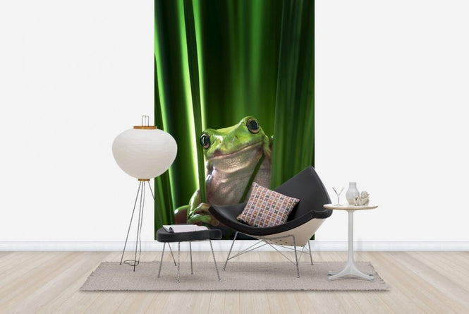 PHOTOWALL / Green Frog (e22516)