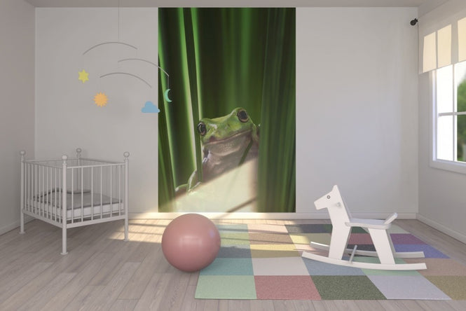 PHOTOWALL / Green Frog (e22516)