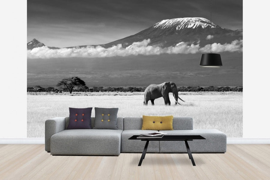 PHOTOWALL / Elephant Landscape (e22519)