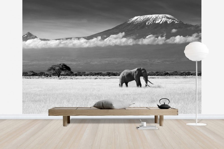 PHOTOWALL / Elephant Landscape (e22519)