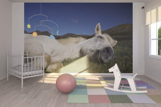 PHOTOWALL / Horse Sleeping (e22523)