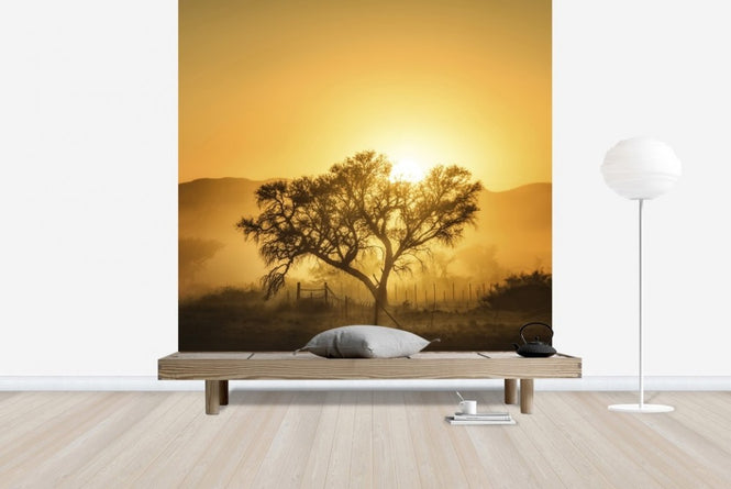 PHOTOWALL / Golden Sunrise (e22546)