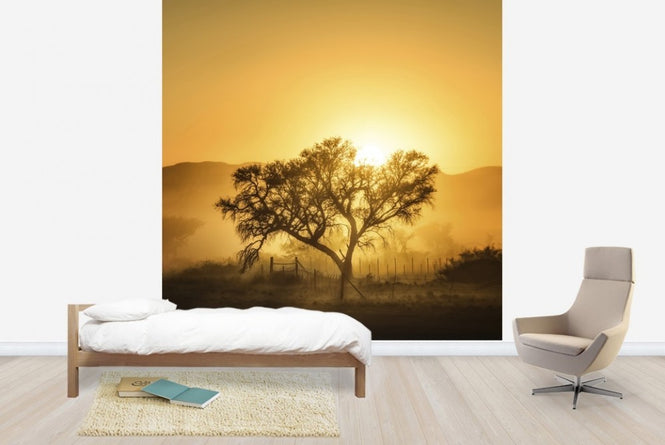PHOTOWALL / Golden Sunrise (e22546)