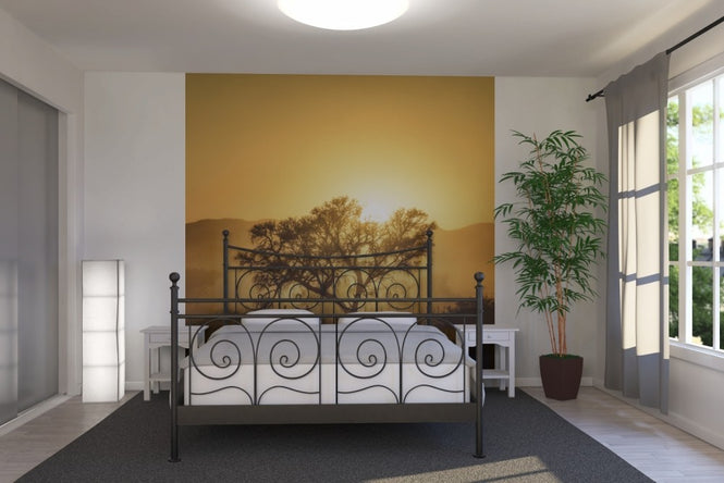 PHOTOWALL / Golden Sunrise (e22546)
